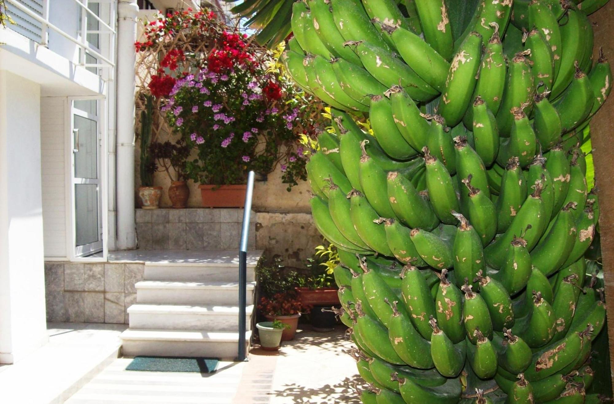 Diana Rooms Chania  Bagian luar foto